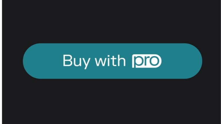 buy_with_pro_perplexity_1732001085089.jpg
