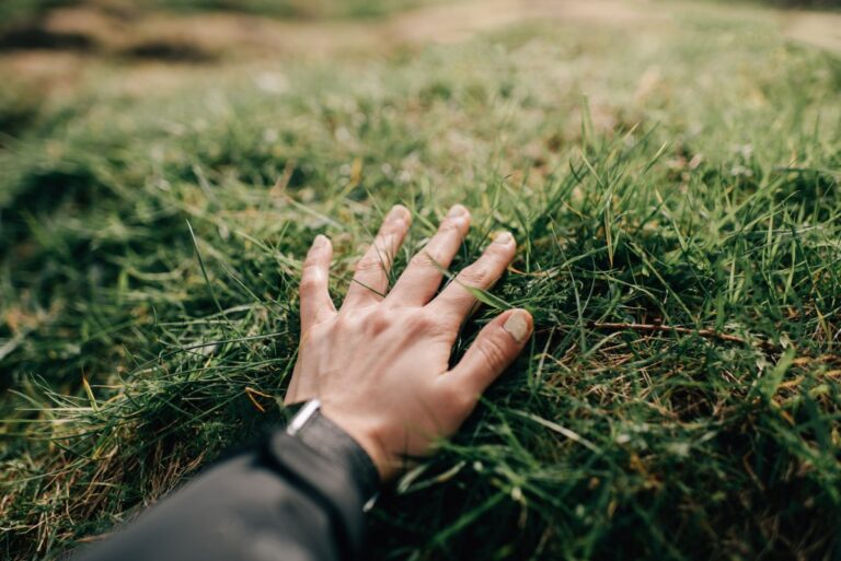 touch-grass.jpg