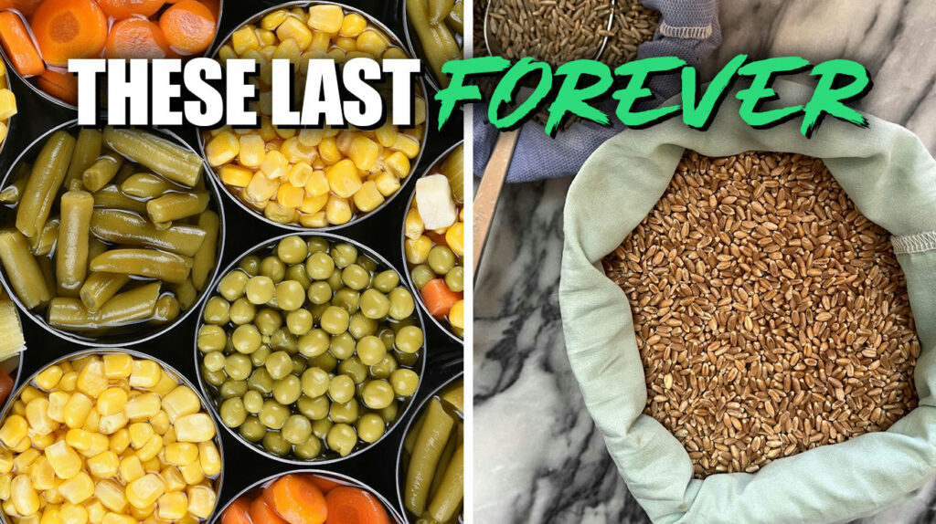 Foods-That-Never-Expire-That-Every-Prepper-Should-Stock.jpg