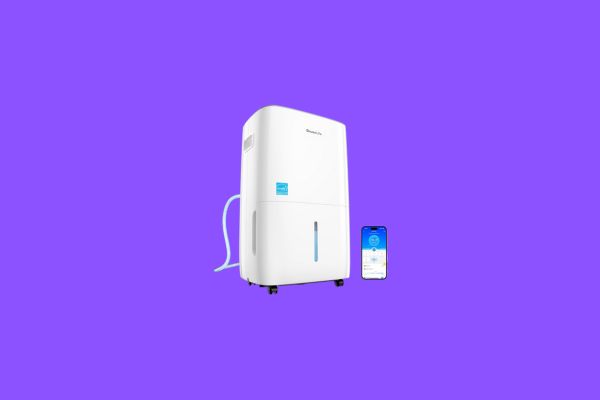 GoveeLife-Dehumidifier-for-Home-4500-Sq.Ft-50-to-109-Pint-Smart-Auto-Humidity.jpg