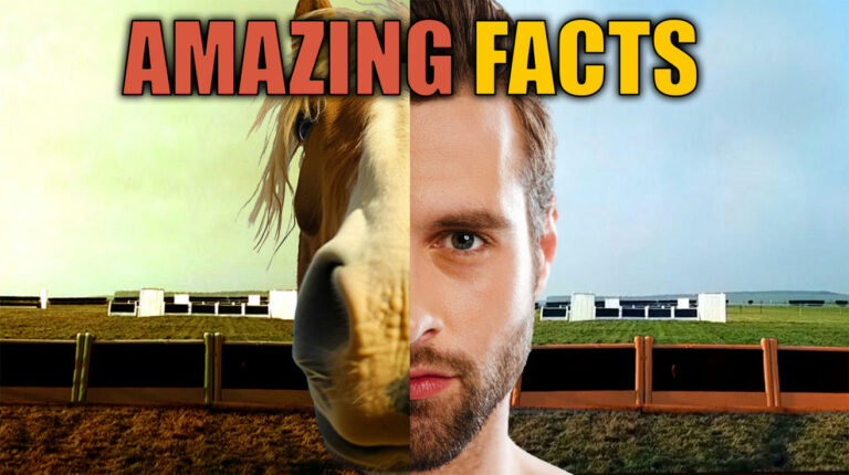 Wild-Trivia-Bits-Chewing-Gum-Bans-the-Firefox-Logo-Secret-More.jpg