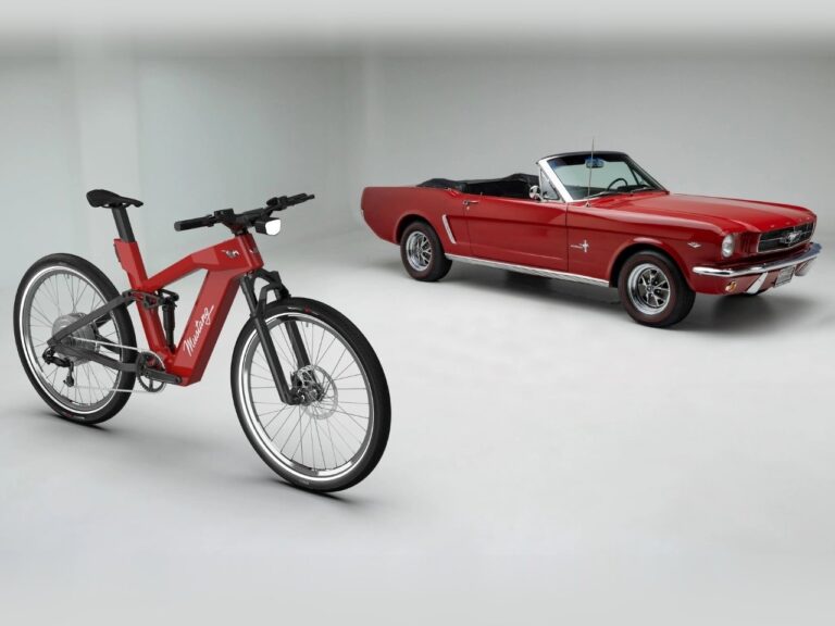 mustang-01-1-1.jpg