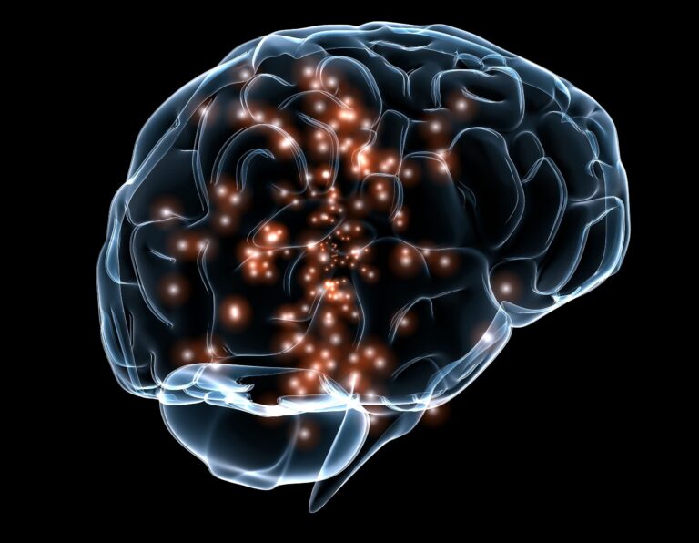 2560px-Neuronal_activity_DARPA.jpg