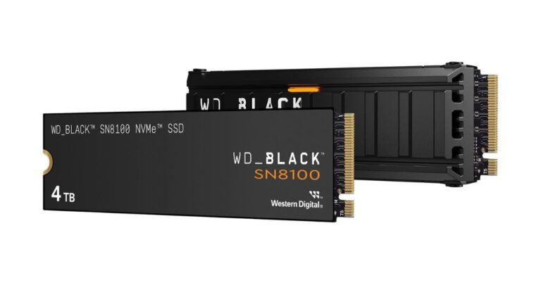 sandisk_wd_black_sn8100_1747194441555.jpg
